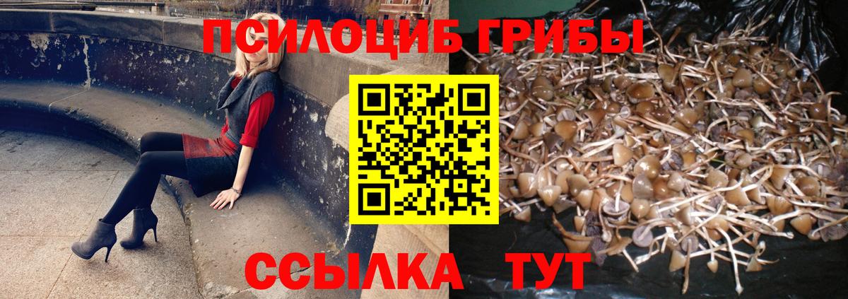 Псилоцибиновые грибы ЛСД Киров